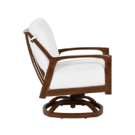 Picture of BERKELEY CUSHIONED LOUNGE SWIVEL ROCKER