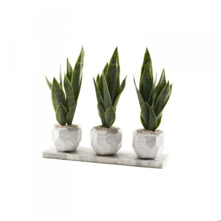 Picture of SANSEVIERIA IN WHITE GEOMETRIC PLANTER ON WHITE GRANITE SLAB